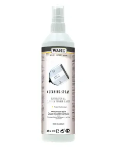 Cleaning Spray