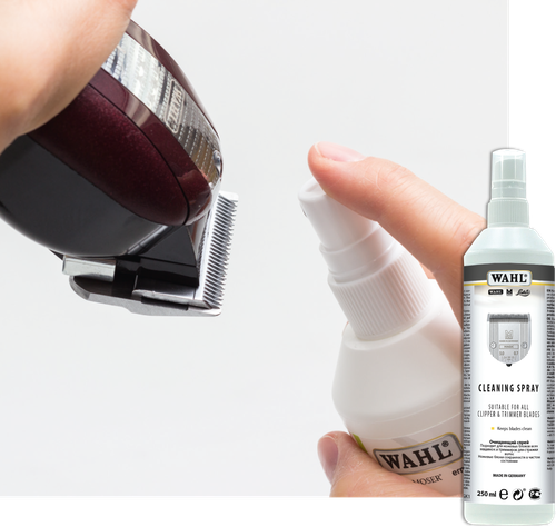 tinea capitis treatment